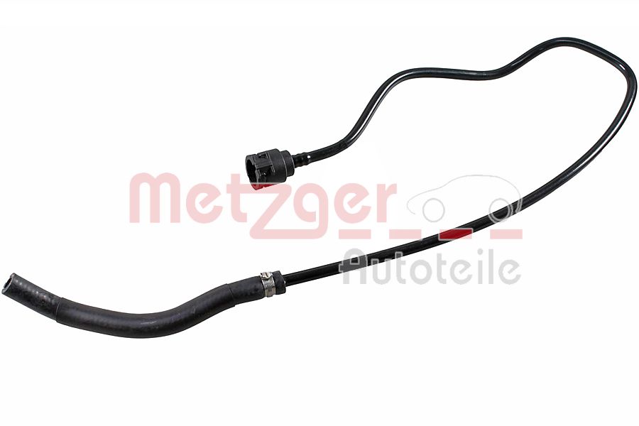 Radiator Hose (2420544)