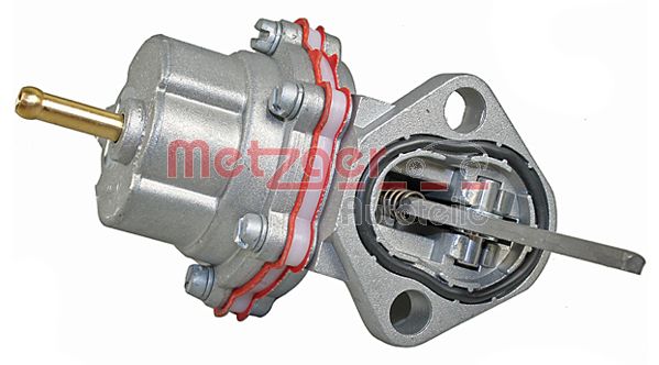 Fuel Pump (2250277)