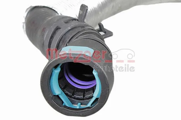 Radiator Hose