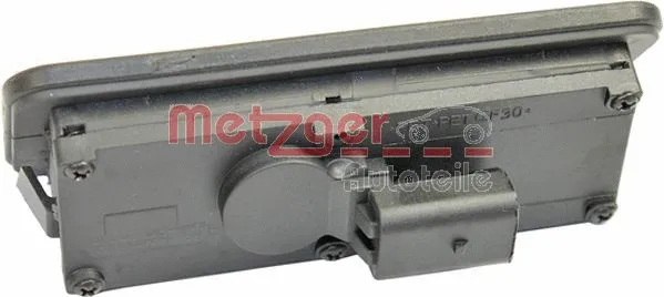 Tailgate Handle (2310522)