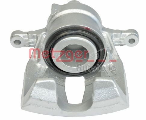 Brake Caliper (6250170)