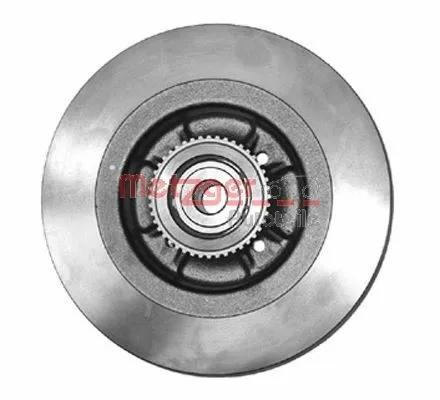 Brake Disc (6110045)