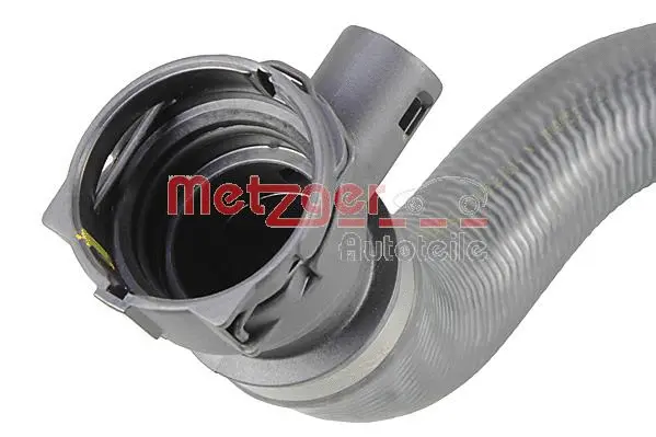 Radiator Hose