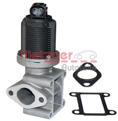 EGR Valve (0892001)