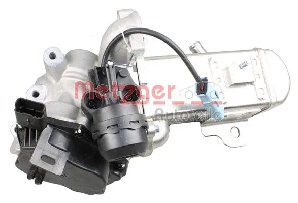 EGR Module (0892751)