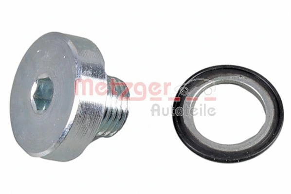 Screw Plug, oil sump (8030086)