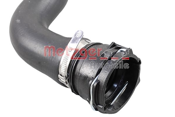 Radiator Hose