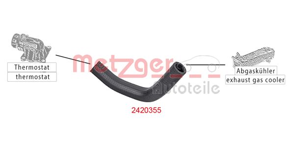 Radiator Hose (2420355)