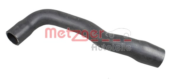 Radiator Hose (2420284)