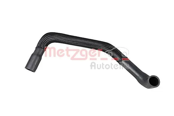 Radiator Hose (2420951)