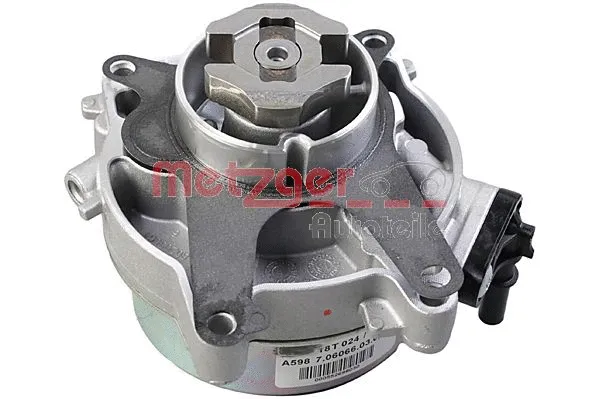 Vacuum Pump, braking system (8010137)