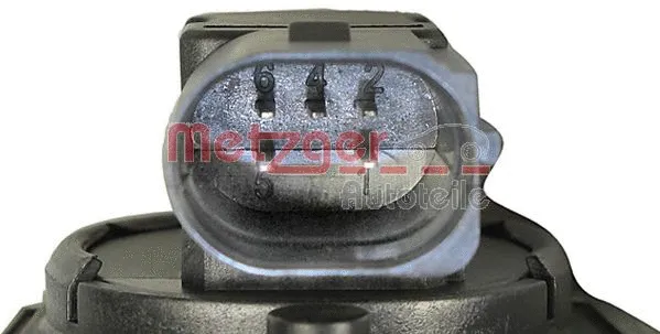 EGR Valve