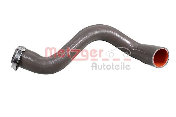 Charge Air Hose (2401034)