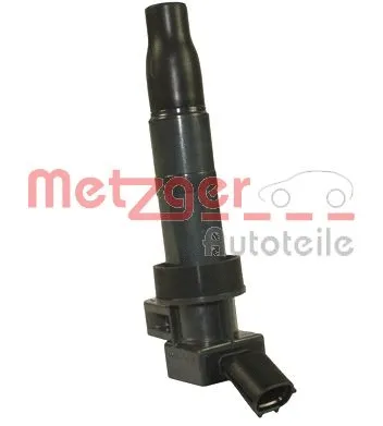 Ignition Coil (0880407)