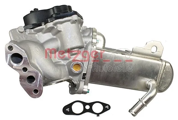 EGR Module