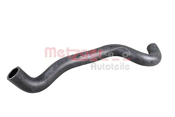 Radiator Hose (2421123)