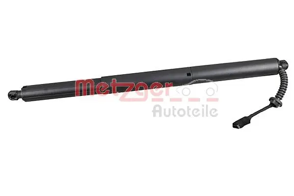 Electric Motor, tailgate (2115002)