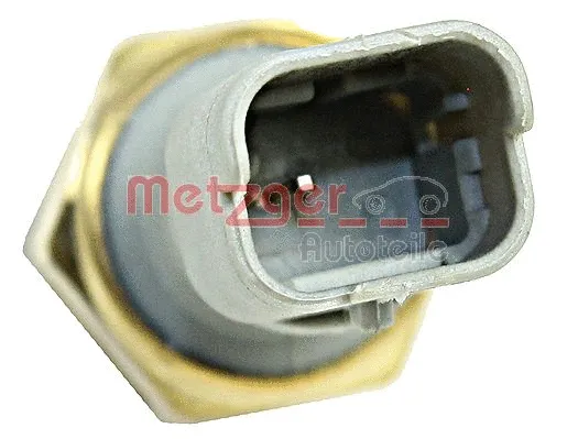 Oil Pressure Switch (0910102)