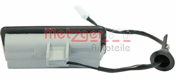 Tailgate Handle (2310516)