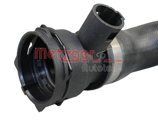 Radiator Hose
