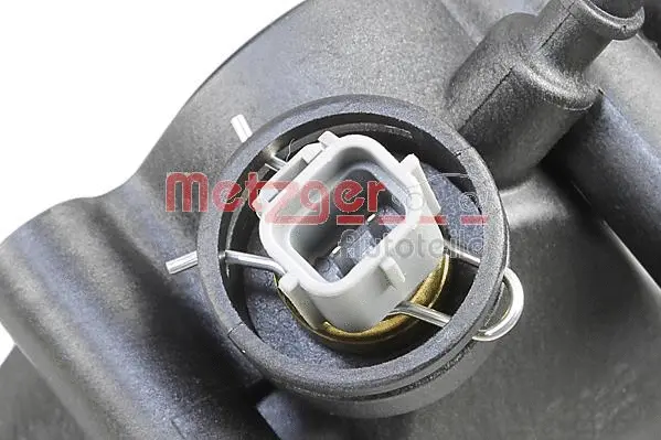 Thermostat, coolant