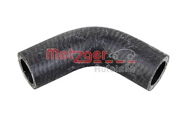 Radiator Hose (2420829)