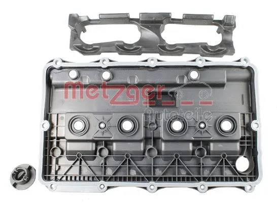 Cylinder Head Cover (2389140)
