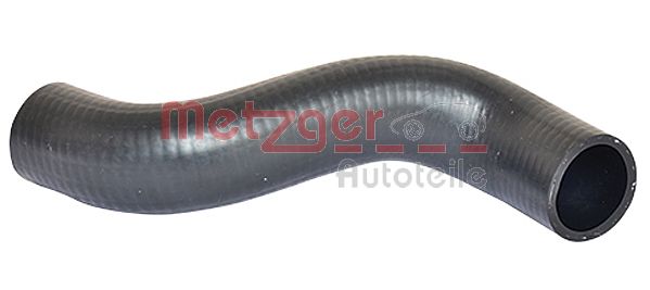 Radiator Hose (2420133)