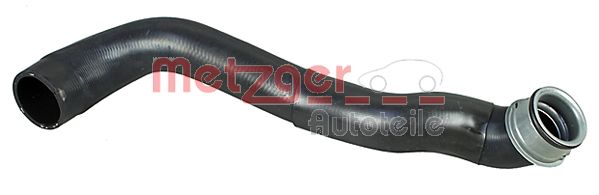 Radiator Hose (2420725)