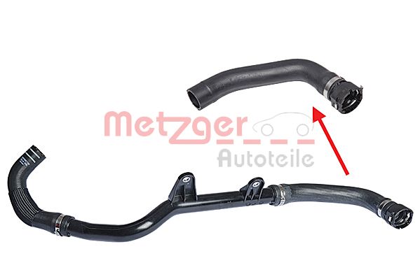 Radiator Hose (2420316)