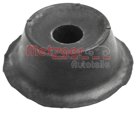 Suspension Strut Support Mount (6490255)