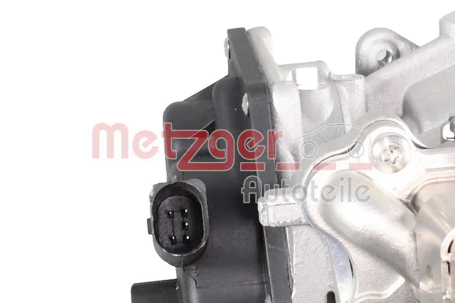 EGR Module