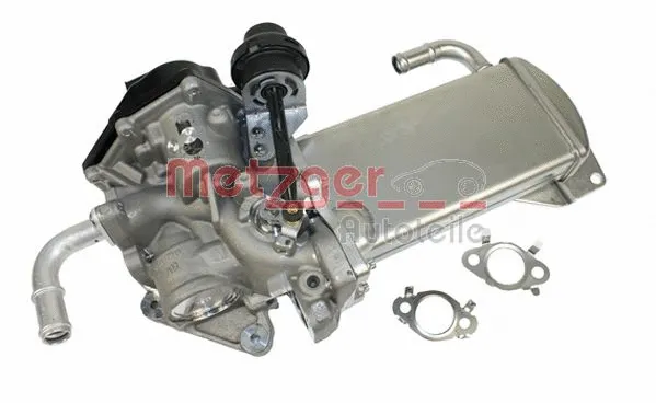 EGR Module