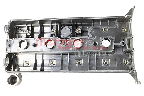 Cylinder Head Cover (2389139)