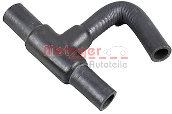 Radiator Hose (2421034)