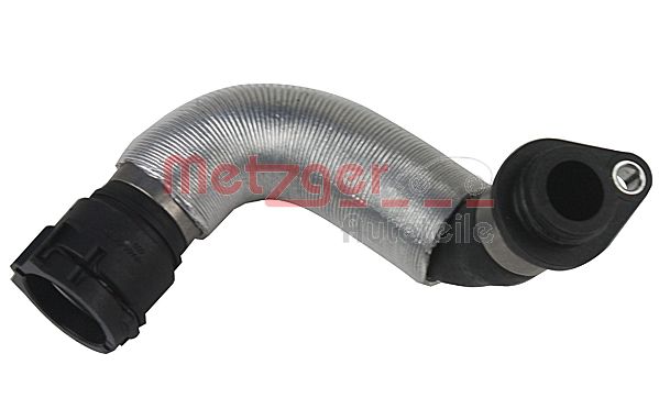 Radiator Hose (2420512)