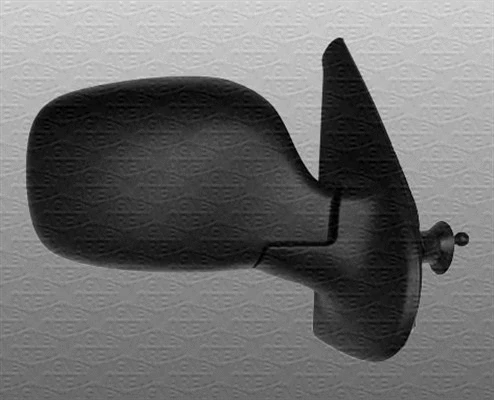 Exterior Mirror (351991116420)