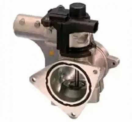 EGR Valve (571822112154)