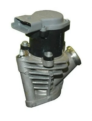 EGR Valve (359000604390)