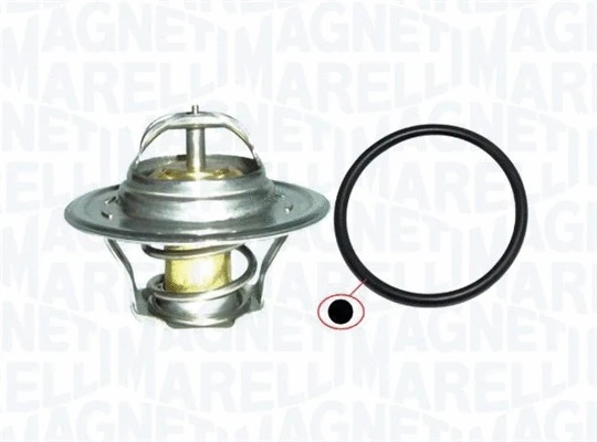 Thermostat, coolant (352317102060)