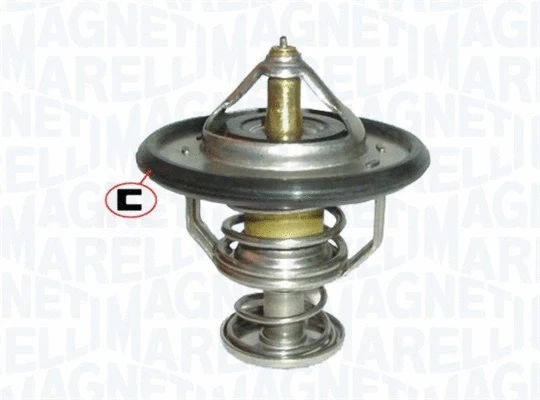 Thermostat, coolant (352317100530)