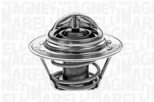 Thermostat, coolant (352020292000)
