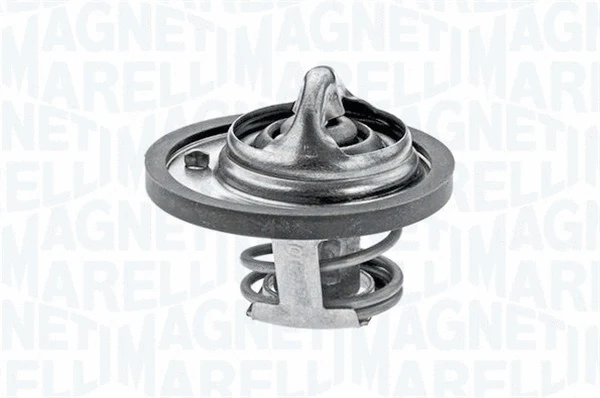 Thermostat, coolant (352033782000)