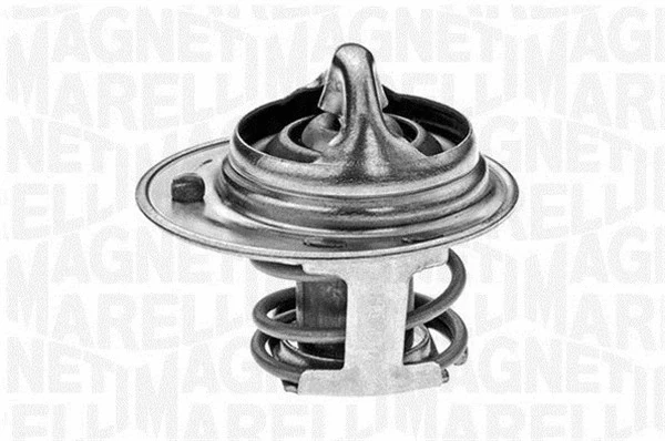 Thermostat, coolant (352023988000)