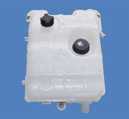 Expansion Tank, coolant (359001601180)