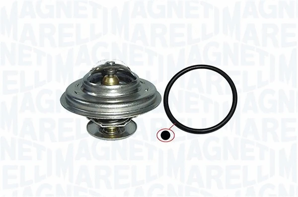 Thermostat, coolant (352317000190)
