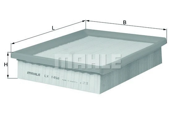 Air Filter (154066122950)