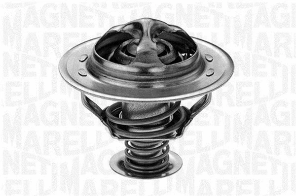 Thermostat, coolant (352038288000)