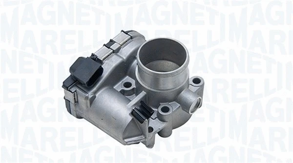 Throttle Body (802000000009)