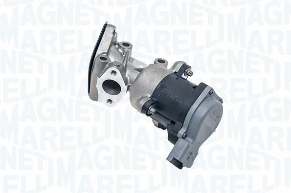 EGR Valve (572022112009)